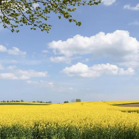 Seewolke 6 * Süssau